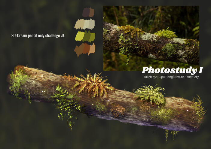 Nature Photostudy I - 2021