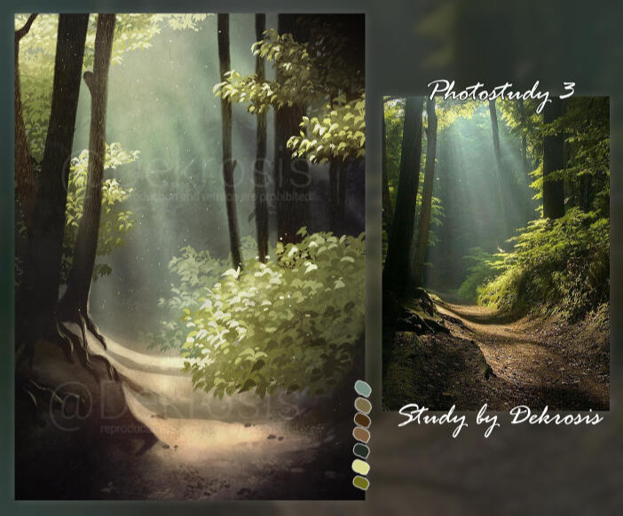 Nature Photostudy III - 2022